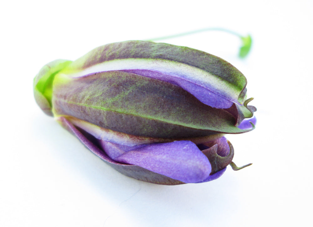 BUD - Passion Closed card