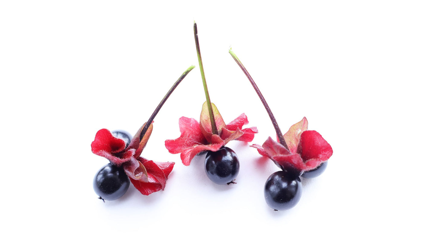 BLOOM - Three Berries card