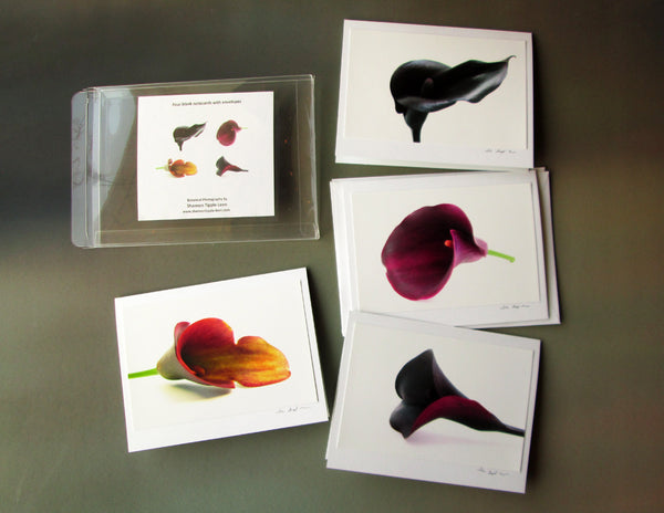 BLOOM, DARK BLOOM - Calla Lily card pack