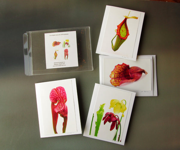 DARK BLOOM, FADE - Carnivorous card pack