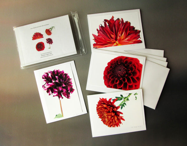 BLOOM - Dahlia 1 card pack
