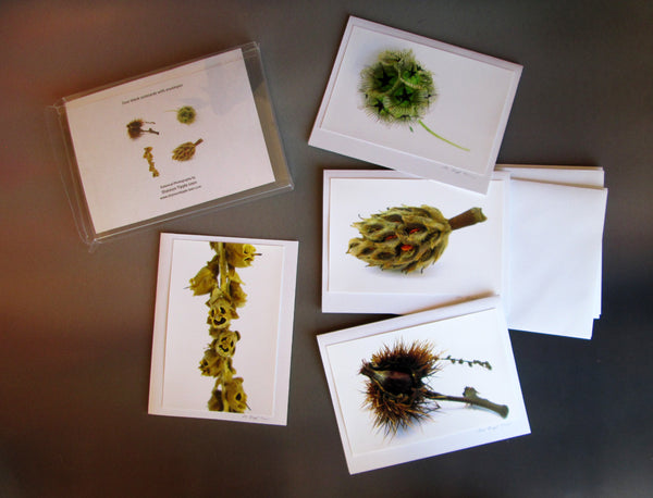 FADE - Desiccated card pack