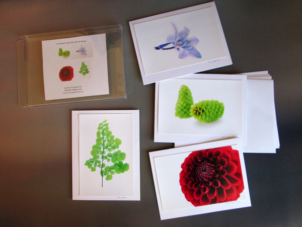 HOLIDAY - Holiday 1 card pack