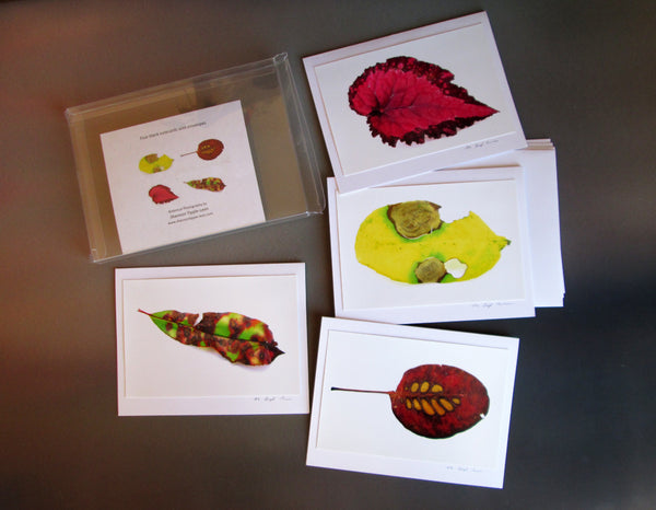 FADE - Leaf Pack 2 card pack