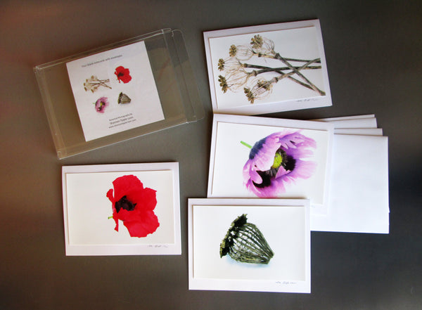 BLOOM, FADE - Poppy card pack