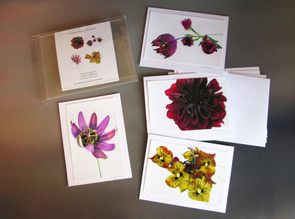 BLOOM, DARK BLOOM - Rich Color card pack