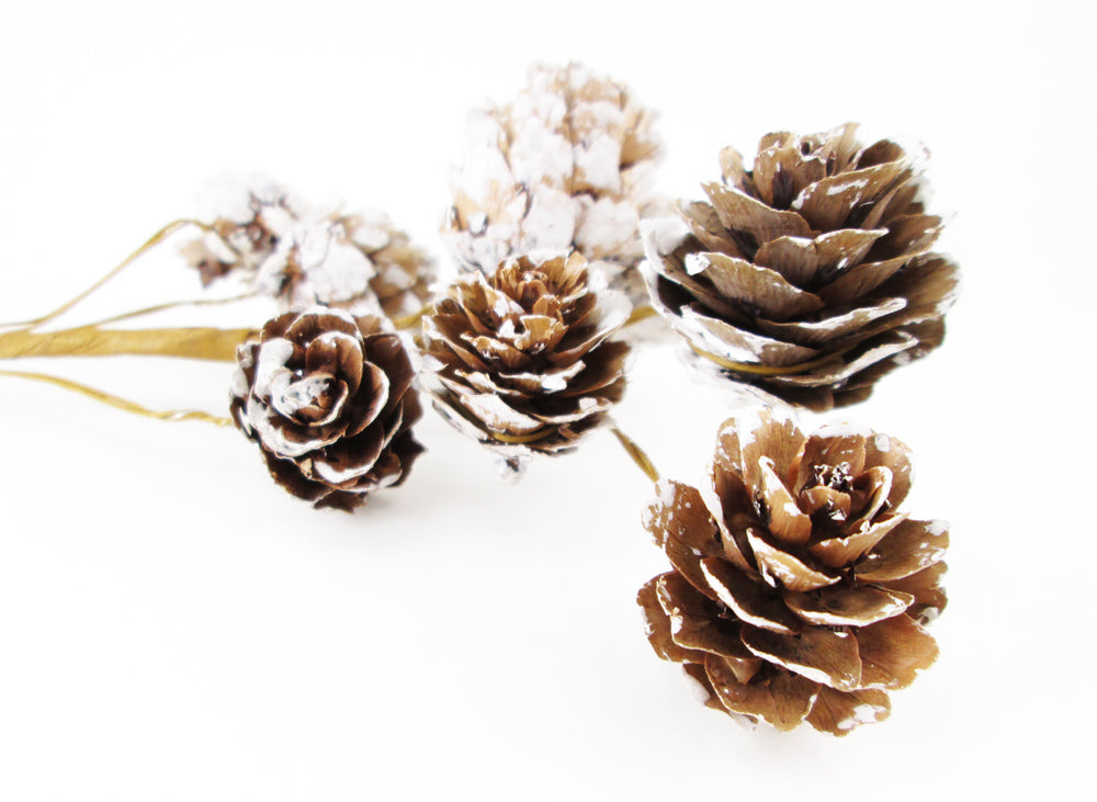 HOLIDAY - Snow Pinecones card