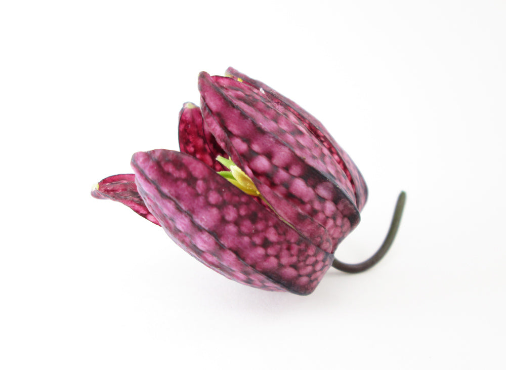 BLOOM, DARK BLOOM - Snakes Head Fritillary card