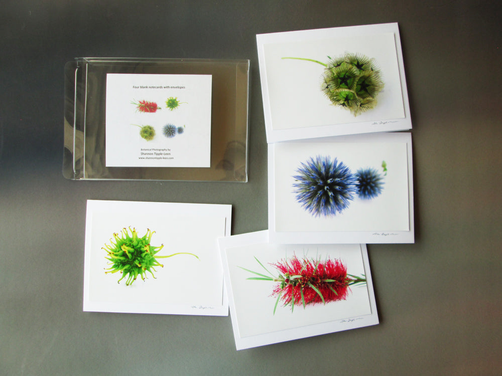 BLOOM - Spiny card pack