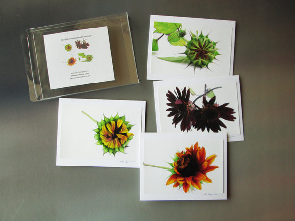 BLOOM - Sunflower card pack
