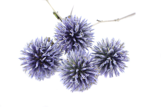 BLOOM - Thistle Puffs Card