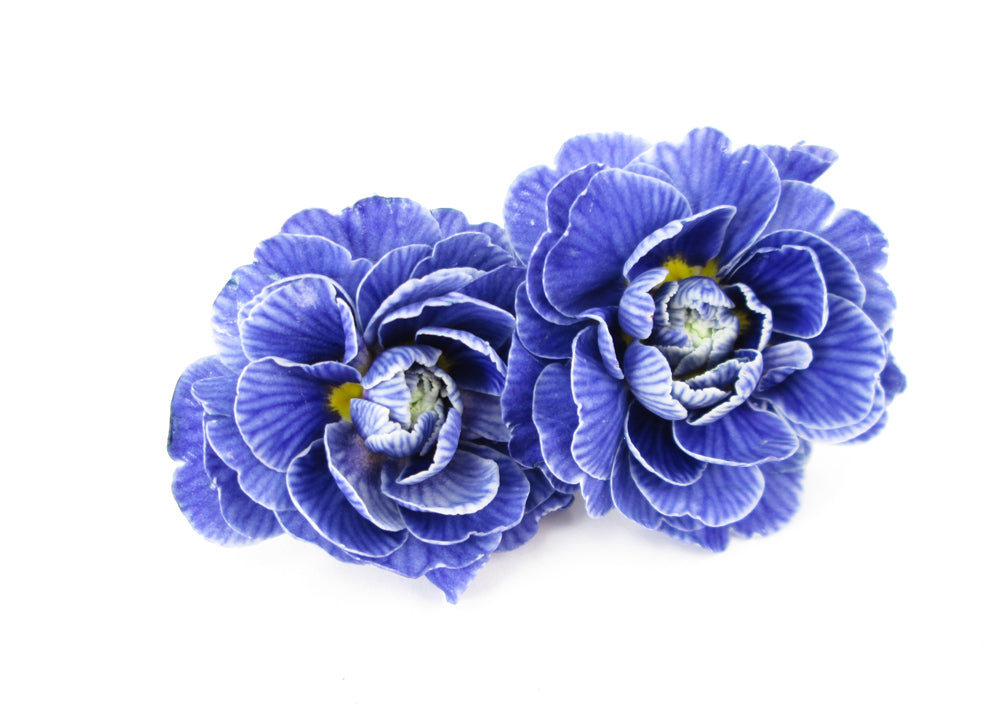 BLOOM - Two Blues card