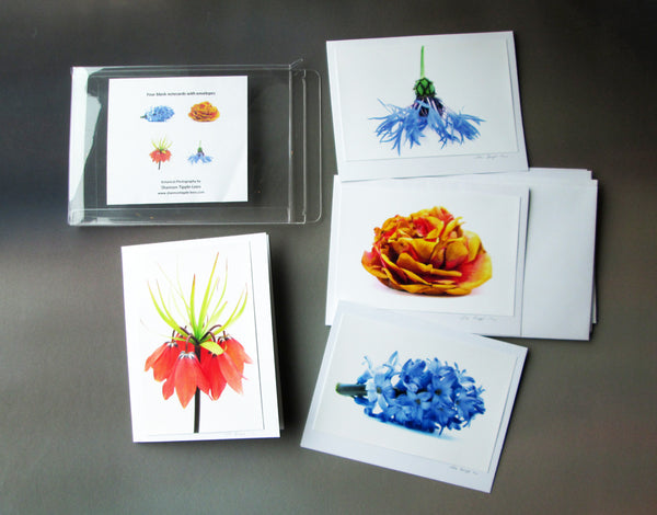 BLOOM - Blue & Orange card pack