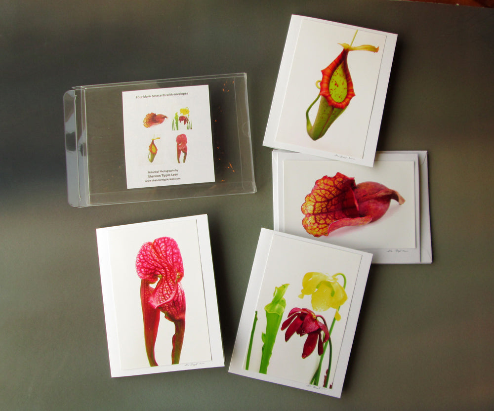 DARK BLOOM, FADE - Carnivorous card pack