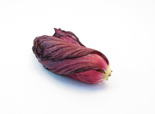 BUD - Purple Hibiscus card