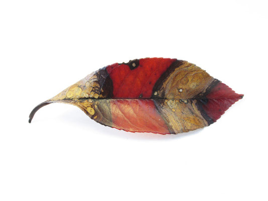 FADE - Striped Leaf card