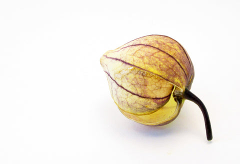 FADE - Tomatillo card